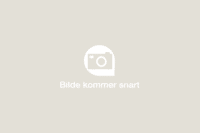 Bilde kommer Bilde kommer snart